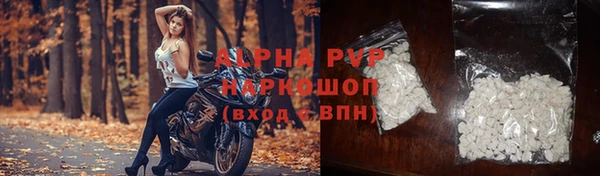 сатива Беломорск
