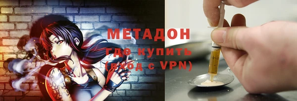 сатива Беломорск