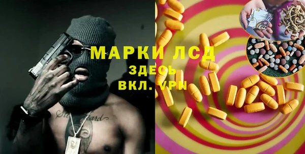 сатива Беломорск