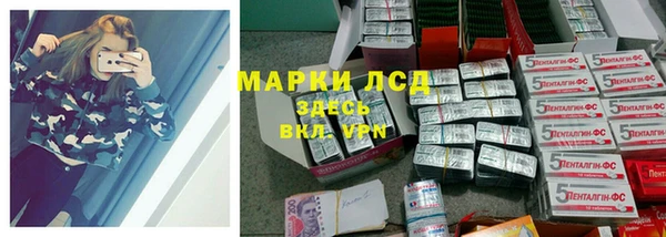 сатива Беломорск