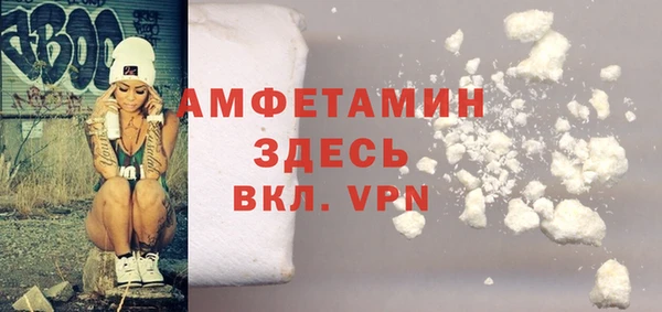 сатива Беломорск