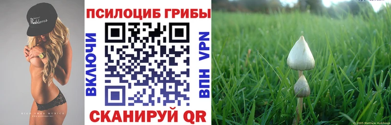 Галлюциногенные грибы мицелий  мориарти формула  Краснознаменск 